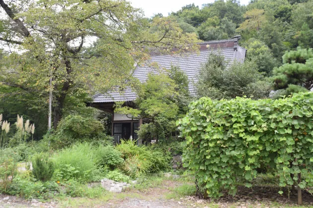 遍照寺　葛　くず　